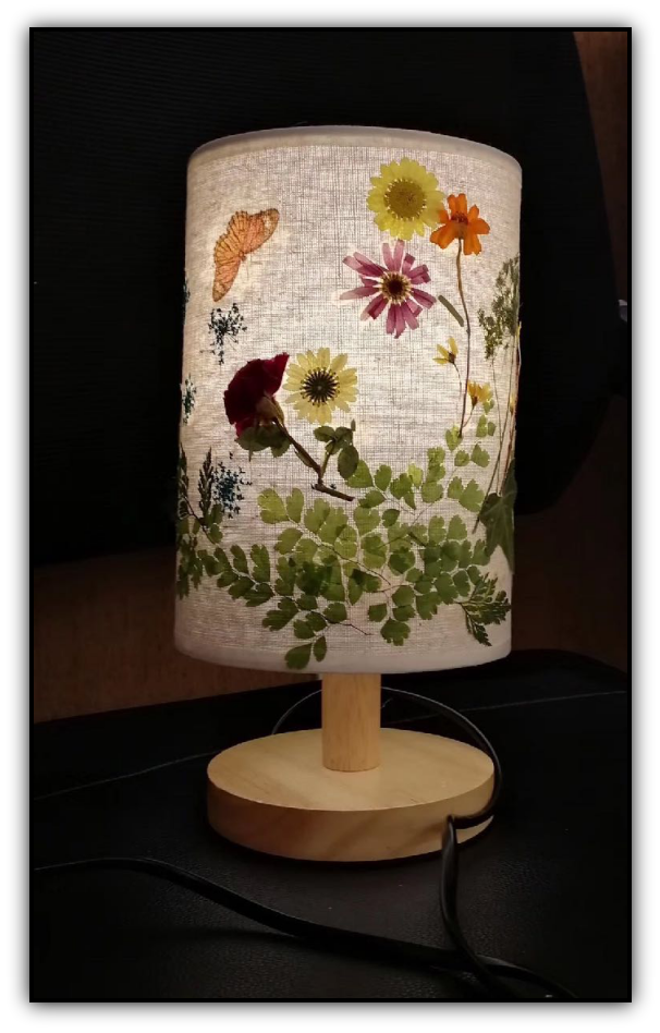 1018_102149_149.png 7.png