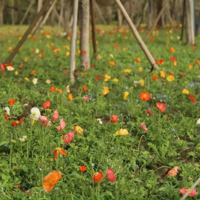 0407_121535_656.jpg 微信图片_2025-04-07_121355_295.jpg