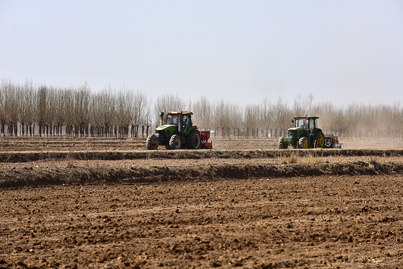 在宁夏银川市贺兰县立岗镇兰星村，农民驾驶农机播种春小麦（2023年3月3日摄）。.JPG