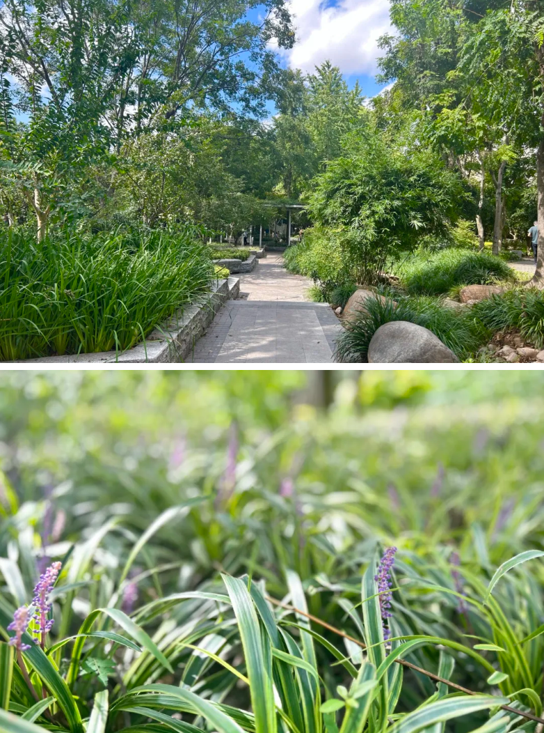 20241015081733037517.png image.png