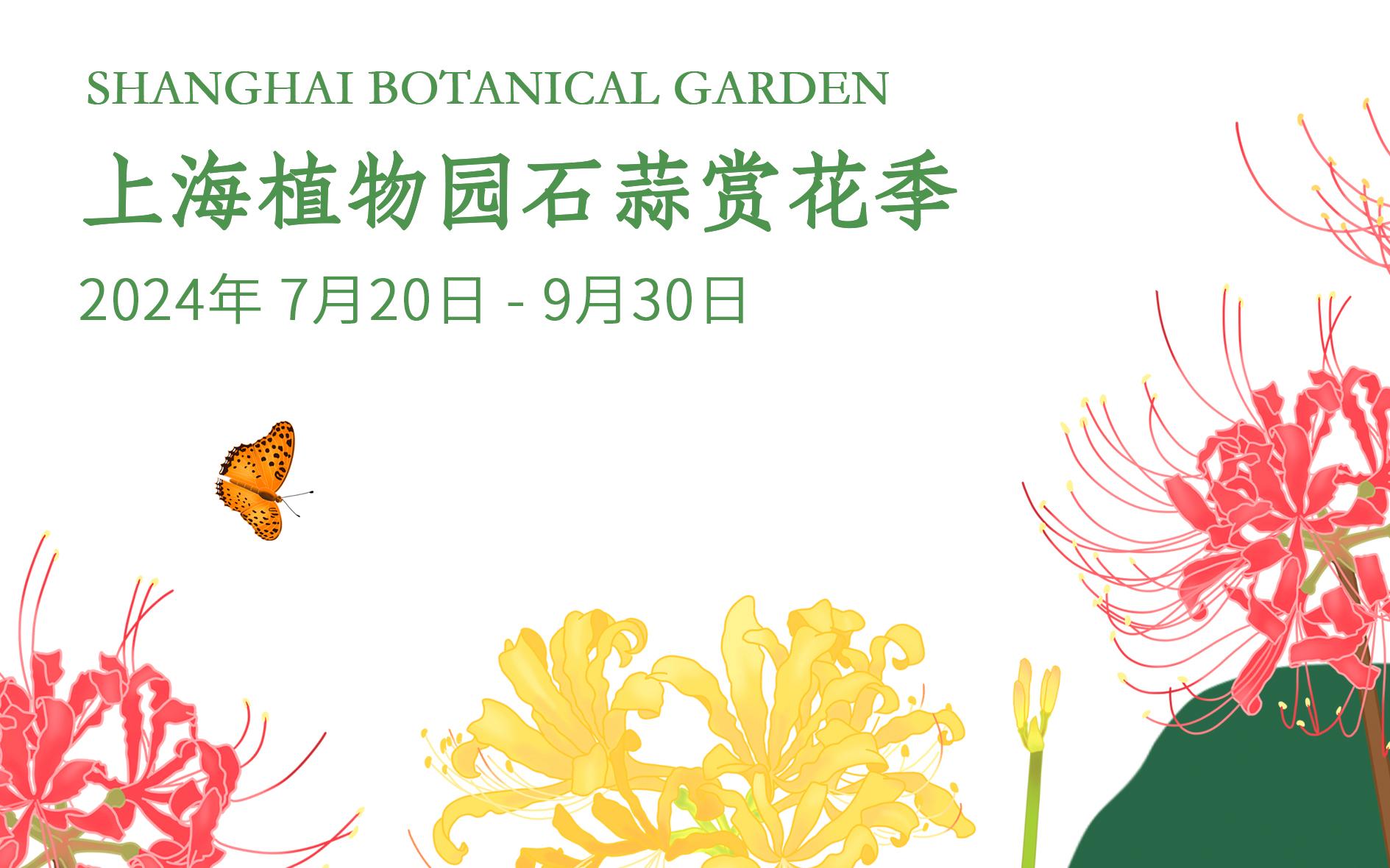 封面头图.jpg 封面头图.jpg