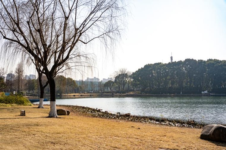 青浦河长:城中美湖,静谧安然 青浦河长:城中美湖,静谧安然