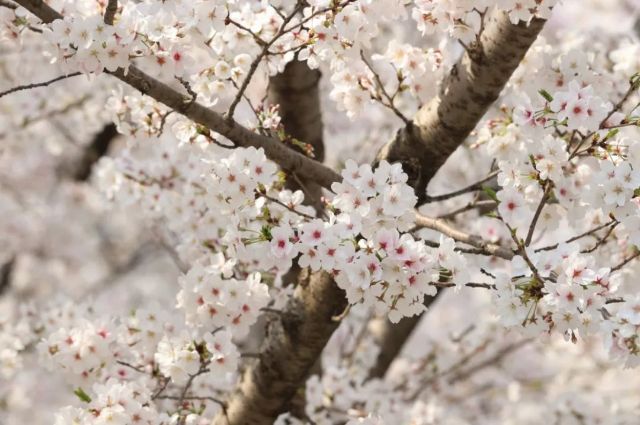 0328_113822_970.jpg 微信图片_2025-03-28_113923_578.jpg