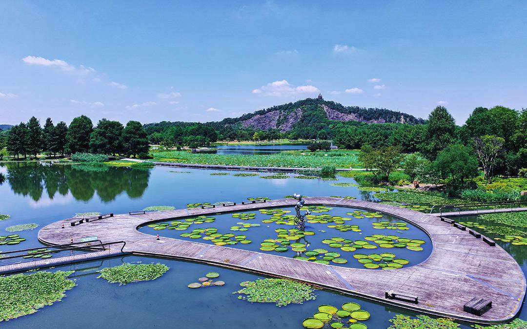 不染 展区 (1).jpg 不染 展区 (1).jpg