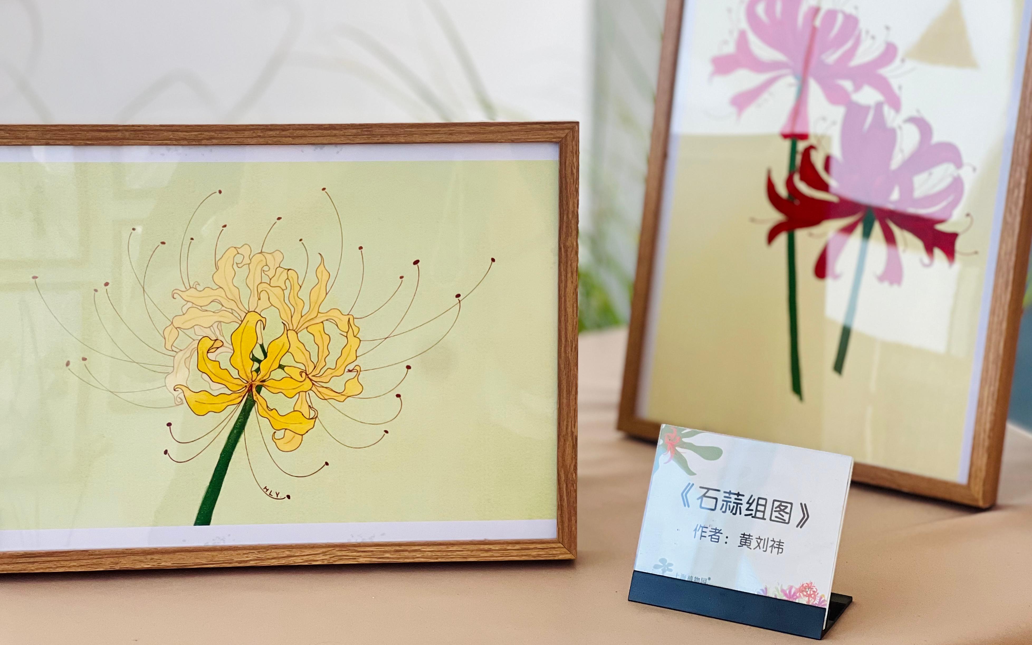 石蒜绘画.jpg 石蒜绘画.jpg