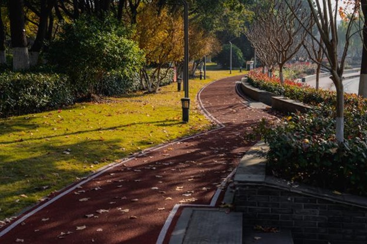 冬日“沪”水游，青浦新城：冬境绮梦，水韵流长