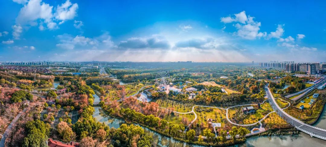 顾村公园(万海民 摄).jpeg 顾村公园(万海民 摄).jpeg