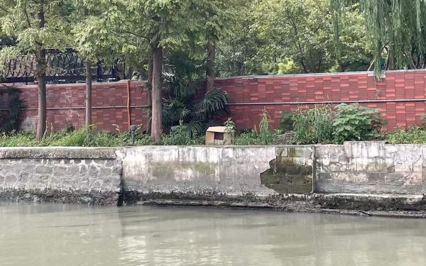 239 (3).jpg 239 (3).jpg