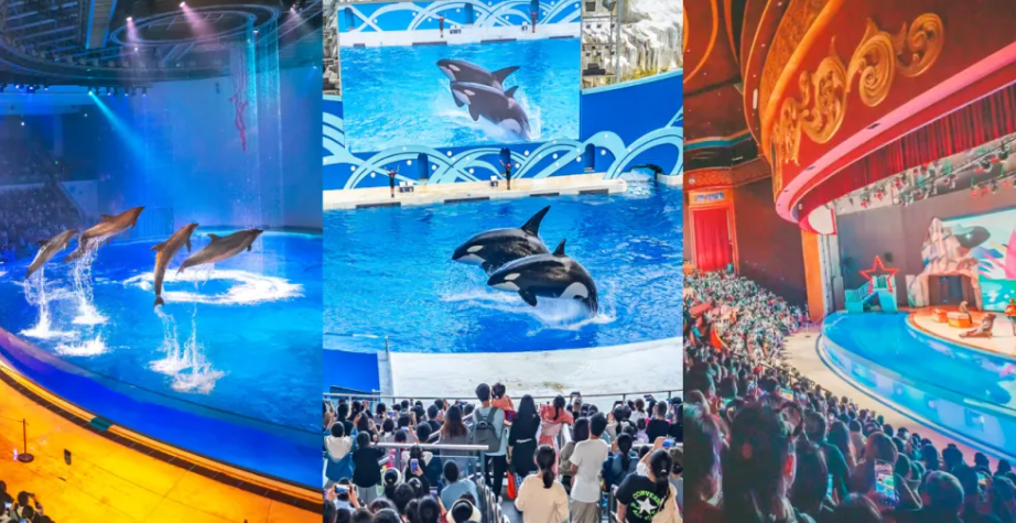 640 (3).png 640 (3).png