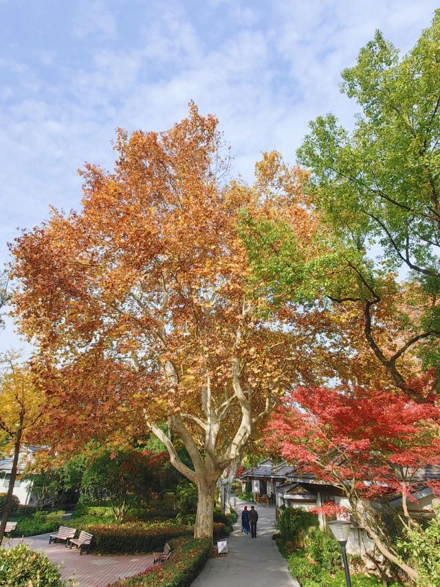 1216_150238_772.jpg 微信图片_2024-12-16_135323_506.png