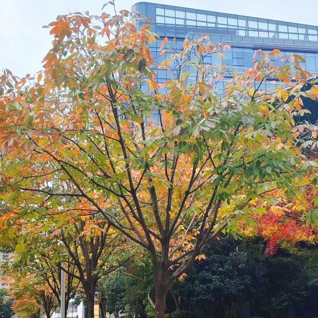 1216_130922_319.jpg 微信图片_2024-12-16_130537_385.png