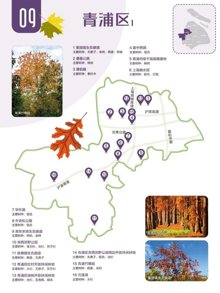 “宿主”您好，请领取主线任务：寻找青浦红叶地图！