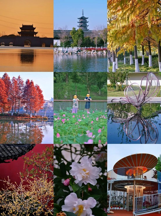 2026逛青浦环城水系公园指南