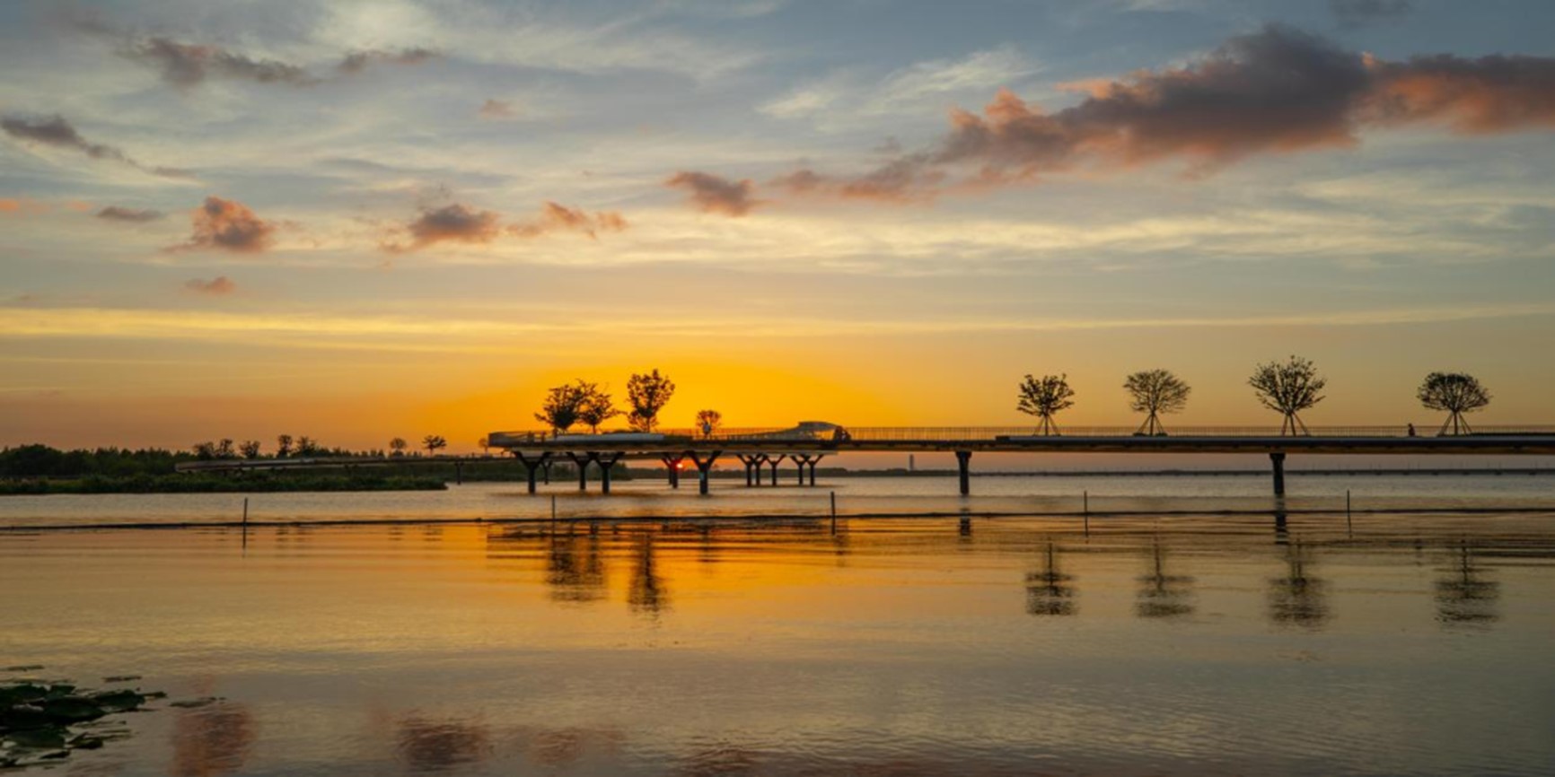 在青浦,江南秋日胜春朝 在青浦,江南秋日胜春朝