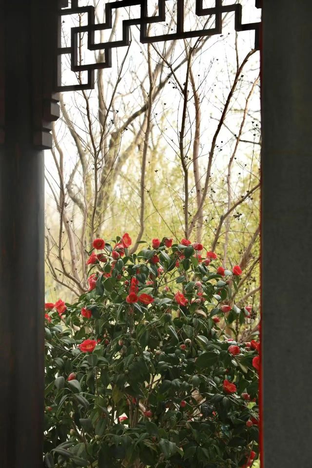 0407_121748_523.jpg 微信图片_2025-04-07_121412_035.jpg