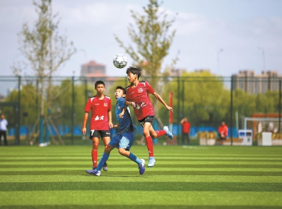 市民体育公园明年元旦开园