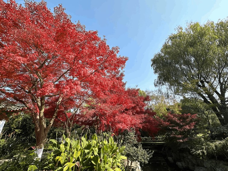 跟着半马游青浦｜收藏！带你玩转线路周边吃喝玩乐全攻略！