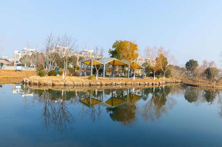 青浦河长:城中美湖,静谧安然 青浦河长:城中美湖,静谧安然