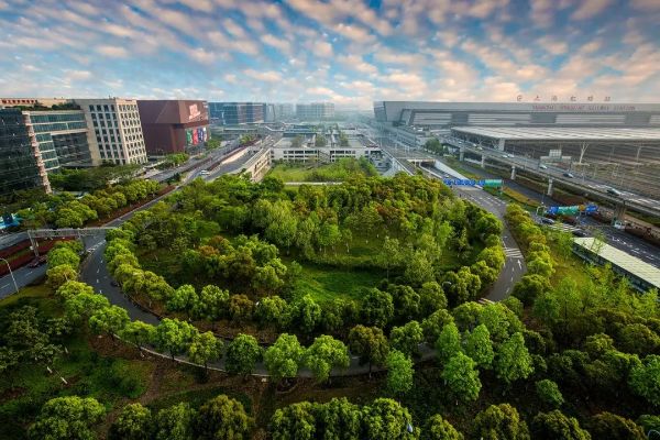 1028_094752245_553.jpg 20241028_094609_019.jpg