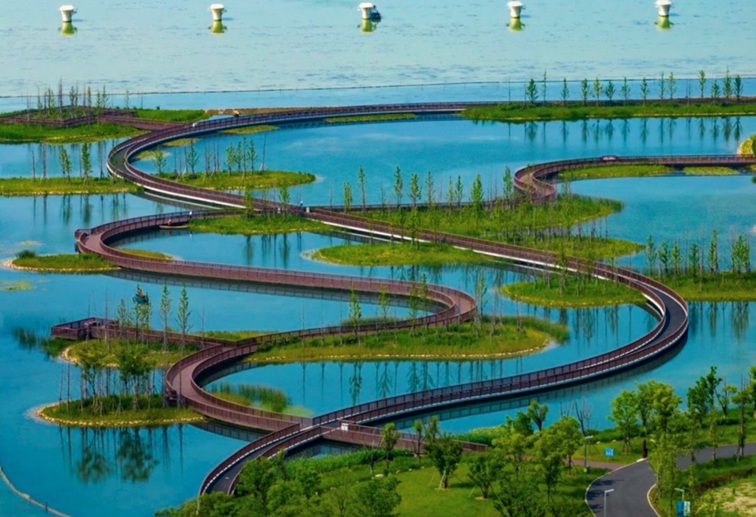 追风少年的春日漫游指南,带你邂逅青浦的N种风情! 追风少年的春日漫游指南,带你邂逅青浦的N种风情!