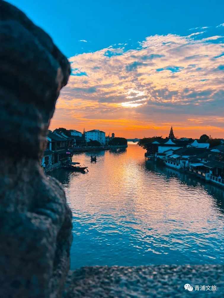 几度秋意,一眼江南,青浦这条水乡线路好有韵味! 几度秋意,一眼江南,青浦这条水乡线路好有韵味!