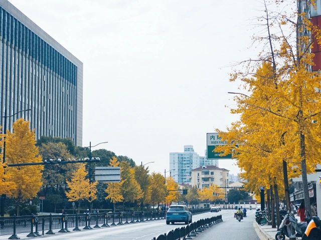 1216_130529_512.jpg 微信图片_2024-12-16_130514_776.png