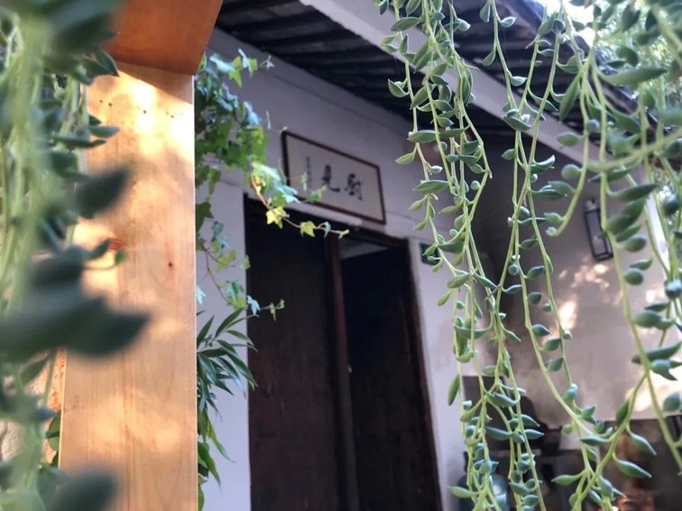 会·聚青浦|这些沪郊雅宿一到秋天就美翻,田园小院赏秋不扎堆 会·聚青浦|这些沪郊雅宿一到秋天就美翻,田园小院赏秋不扎堆