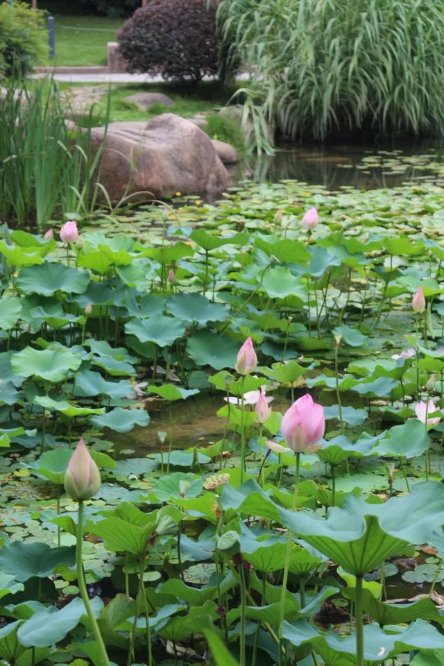 0722_121317_895.jpg 640 (2).jpg