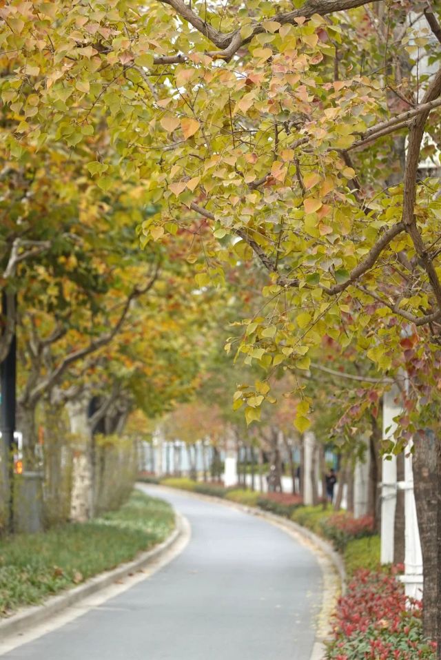 1216_131247_773.jpg 微信图片_2024-12-16_130608_090.png