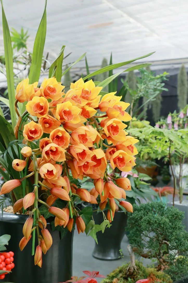 会·聚青浦|这条既City又Country的旅“行”,才是当代人的最爱! 会·聚青浦|这条既City又Country的旅“行”,才是当代人的最爱!