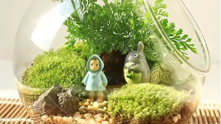 2026年青浦区公共文化内容配送四月预告