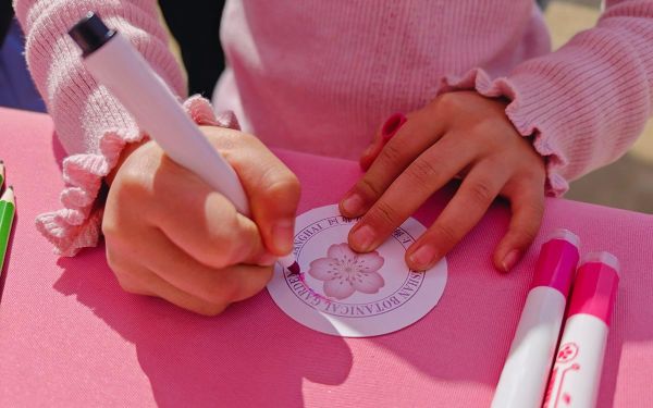 樱花徽章制作 (3).jpg 樱花徽章制作 (3).jpg