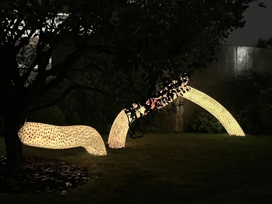 449e6e3ddec794a34d375b531495b1b5.jpeg 449e6e3ddec794a34d375b531495b1b5.jpeg