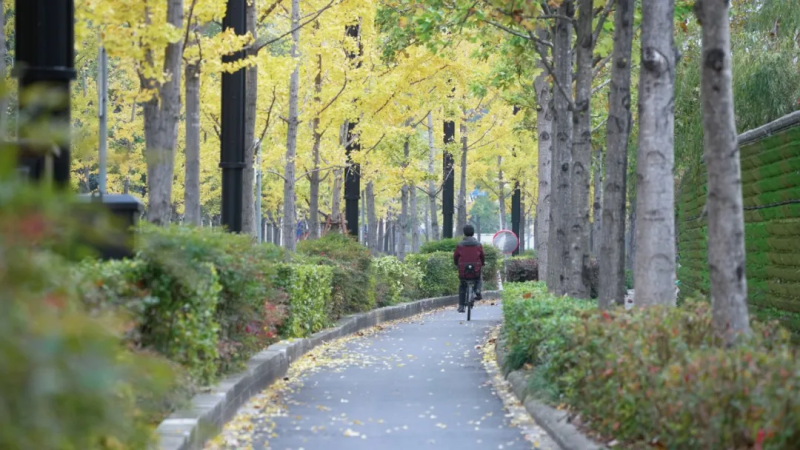 图片 12.png 图片 12.png