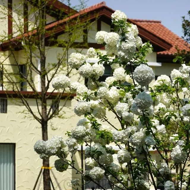 0812_141431_466.jpg 640 (2).jpg