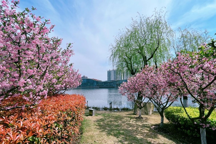 跟着地图去打卡,全民健身的活力舞台:青浦区体育中心 跟着地图去打卡,全民健身的活力舞台:青浦区体育中心