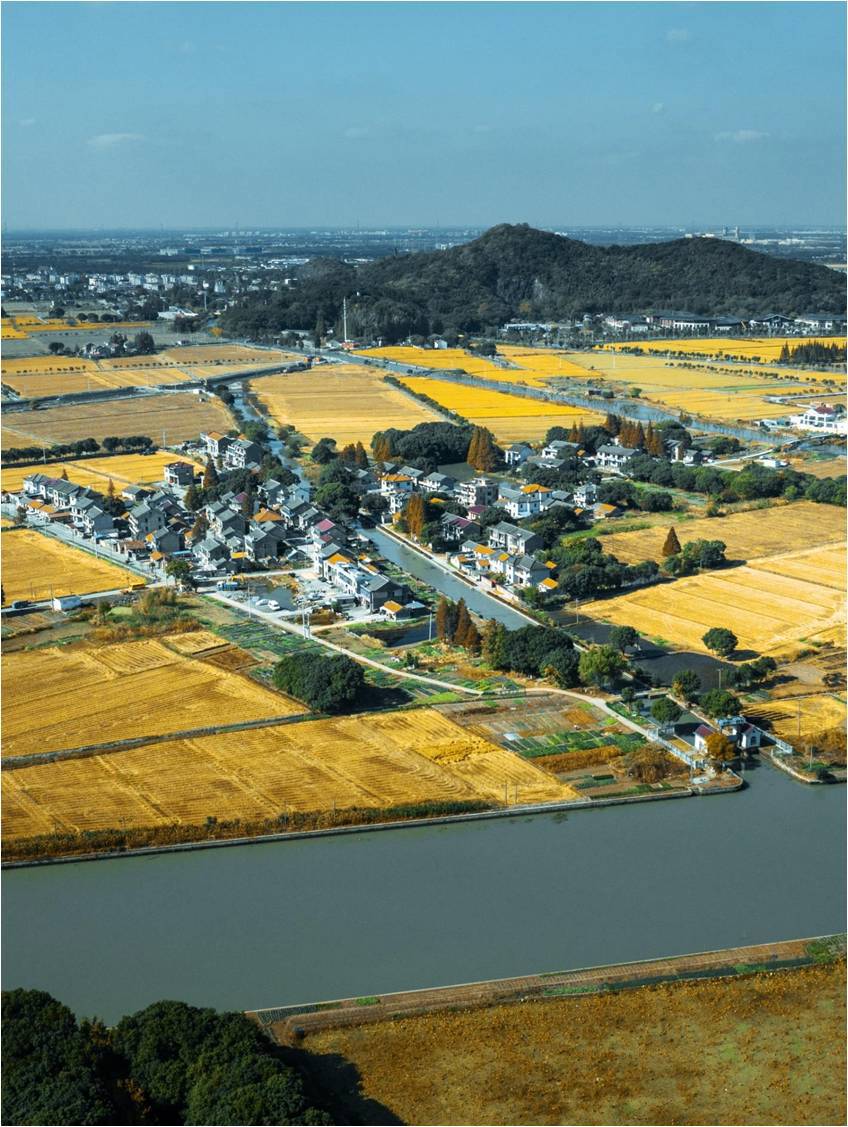 佘山刘家山单元现状鸟瞰图。市规划资源局供图.jpeg 佘山刘家山单元现状鸟瞰图。市规划资源局供图.jpeg