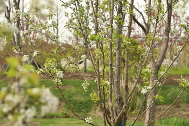 0407_121655_525.jpg 微信图片_2025-04-07_121403_595.jpg