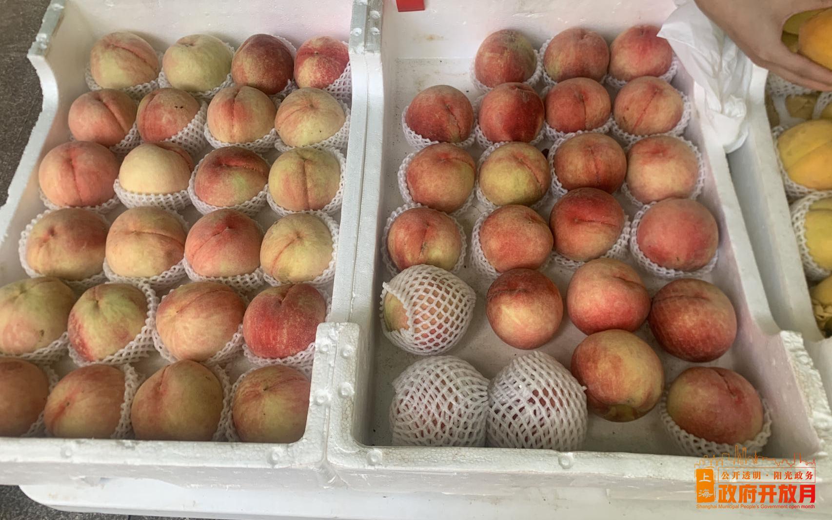 为民办实事—2023年夏季果品进公园活动圆满落幕4.jpg 为民办实事—2023年夏季果品进公园活动圆满落幕4.jpg