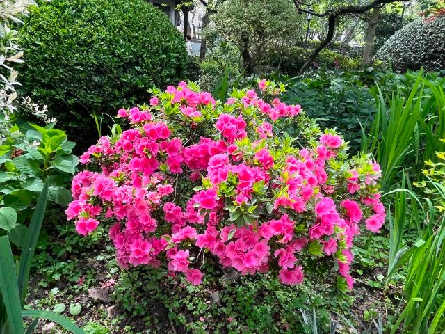 0307_144726_399.jpg 微信图片_2025-03-07_103705_565.jpg