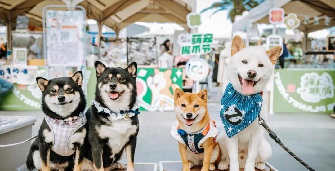 20240929092445066692.jpg 20240929092445066692.jpg