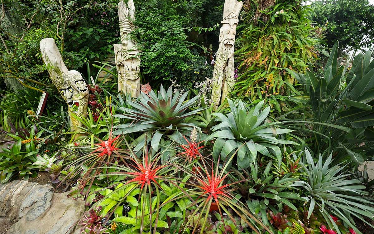 惊悚花园 1.jpg 惊悚花园 1.jpg