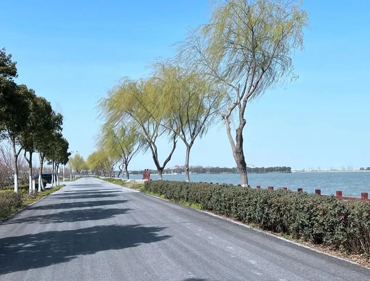 追风少年的春日漫游指南,带你邂逅青浦的N种风情! 追风少年的春日漫游指南,带你邂逅青浦的N种风情!