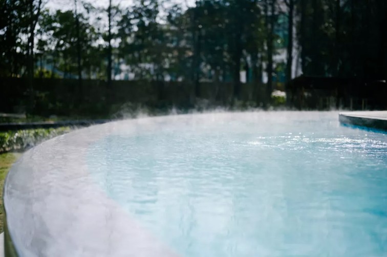 过大年·来青浦丨“蛇”我其谁~青浦近50场新春活动等你“过·来”玩！