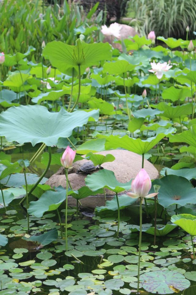 0722_121313_561.jpg 640 (1).jpg