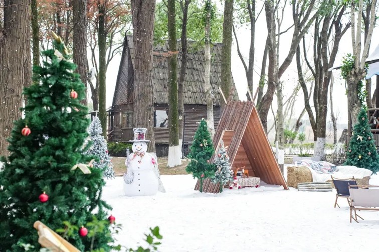 过大年·来青浦丨“蛇”我其谁~青浦近50场新春活动等你“过·来”玩！