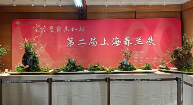 0305_100544_951.jpg 微信图片_2025-03-05_100448_552.jpg