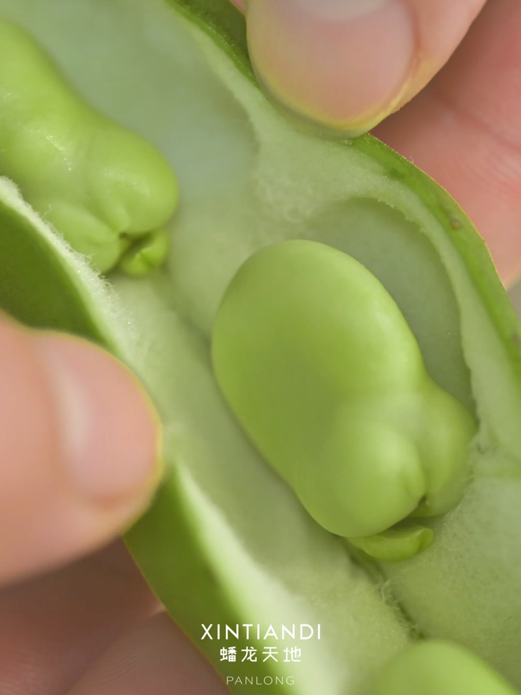 318青浦旅游日丨春日限定！青浦几大商场各出奇招，邀你和春光碰头！