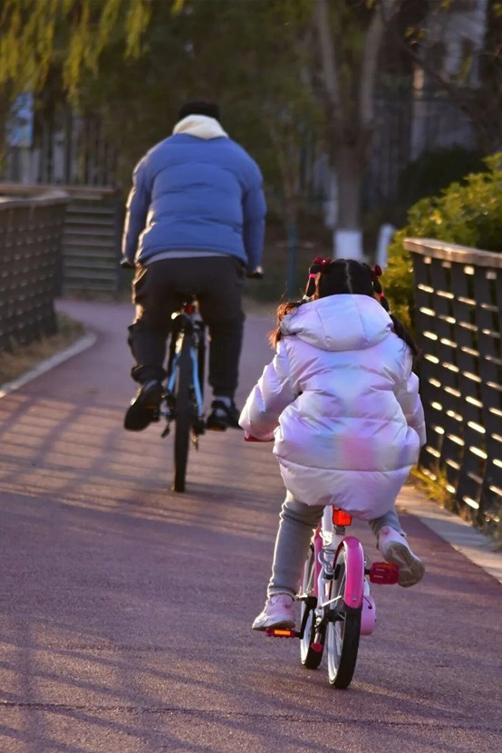 2026逛青浦环城水系公园指南