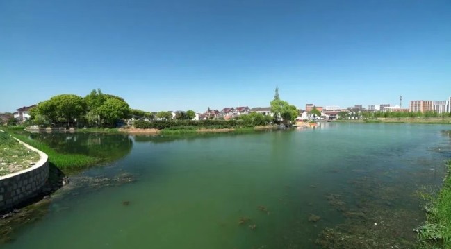 2026年春季来青浦泛艇+骑行，这两条路线包出片的~